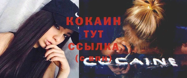 соль ск Абаза