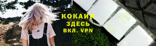 ГАЛЛЮЦИНОГЕННЫЕ ГРИБЫ Абдулино