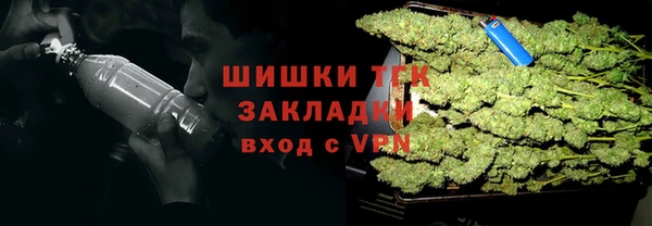 ГАЛЛЮЦИНОГЕННЫЕ ГРИБЫ Абдулино