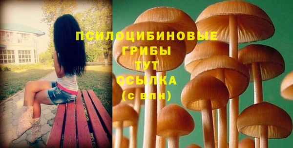 ГАЛЛЮЦИНОГЕННЫЕ ГРИБЫ Абдулино