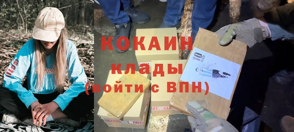 МДПВ Алзамай