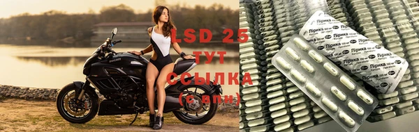 соль ск Абаза