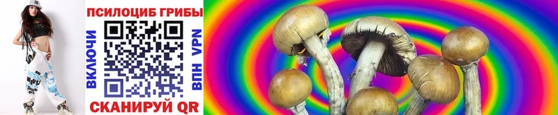 Псилоцибиновые грибы Psilocybine cubensis OMG маркетплейс Каменка